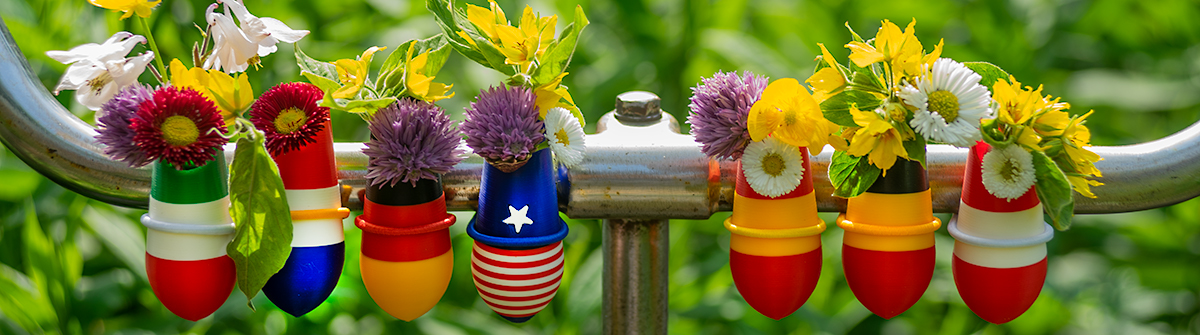 A small plastic vase for the handlebars of your bike. Small flowers with stems can be placed in it. You can collect your flowers during your ride or put them in beforehand and ride around showing off.